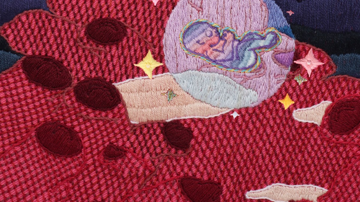 DanFong Wang, The Sparkle, The Blossom, and The Milky Land (2024) still image. © the artist