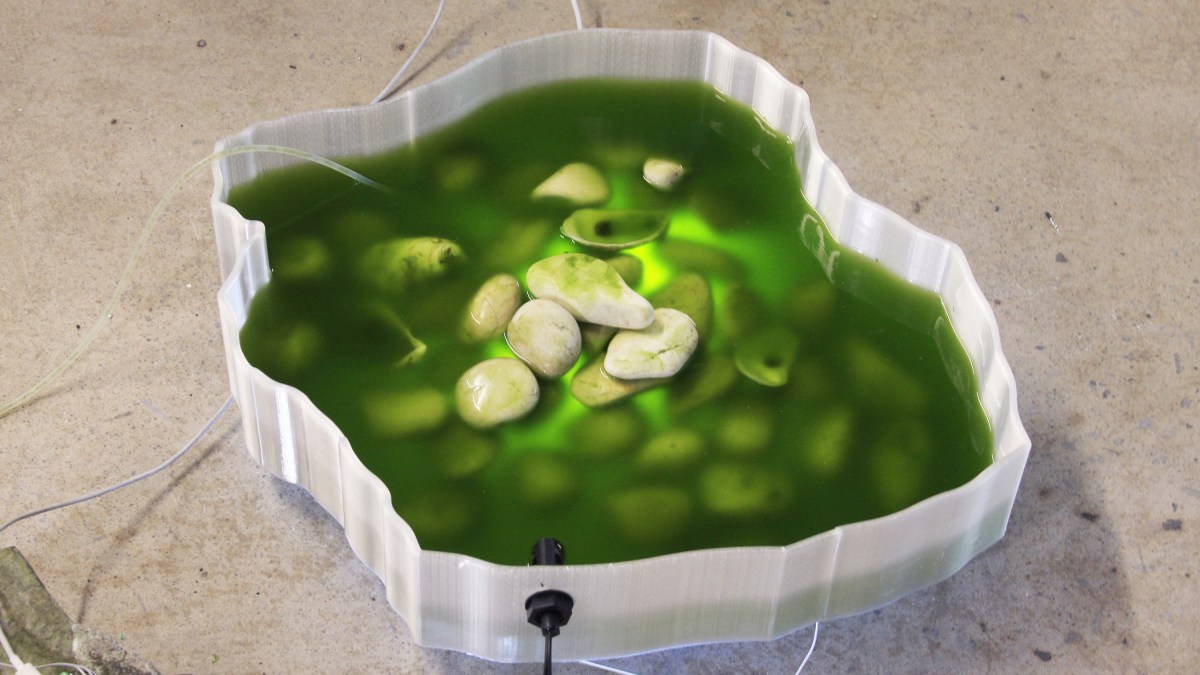 Gabrielle Turbide, Intertidal, 2026, anthotypes, 3D prints, phytoplankton, rock, plastic, peristaltic pump, electronic components. Photo: Gabrielle Turbide